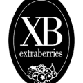 Extraberries